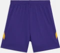 Шорти баскетбольні Nike KOBE DRI-FIT 6IN BASKETBALL SHORTS фіолетові HJ8103-547