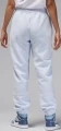 Спортивные штаны женские Nike JORDAN FLIGHT FLEECE TROUSERS светло-серые FV7059-085
