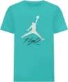 Футболка Nike JORDAN JUMPMAN FLIGHT HBR TEE бирюзовая AO0664-392