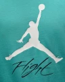 Футболка Nike JORDAN JUMPMAN FLIGHT HBR TEE бирюзовая AO0664-392