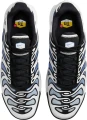 Кросівки Nike AIR MAX PLUS DRIFT біло-сині FD4290-102