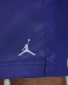 Шорты Nike JORDAN POOLSIDE 5" синие HF9371-543