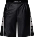 Шорти Nike JORDAN BROOKLYN CAT SCRATCH чорно-білі HV0560-011