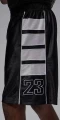 Шорти Nike JORDAN BROOKLYN CAT SCRATCH чорно-білі HV0560-011