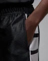Шорти Nike JORDAN BROOKLYN CAT SCRATCH чорно-білі HV0560-011