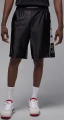 Шорти Nike JORDAN BROOKLYN CAT SCRATCH чорно-білі HV0560-011