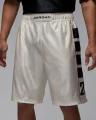Шорти Nike JORDAN BROOKLYN CAT SCRATCH молочно-чорні HV0560-133
