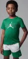 Комплект літній дитячий Nike JORDAN STACKED MIXED SET зелено-сірий 85D767-G2H