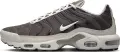 Кроссовки Nike AIR MAX PLUS бежево-серые IB7679-200