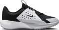 Кросівки бігові підліткові Nike SONIC FLY (GS) чорно-білі FZ0017-001