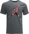 Футболка Nike JORDAN BRAND сіра FN5980-091