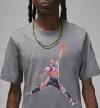 Футболка Nike JORDAN BRAND серая FN5980-091
