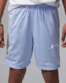 Шорти підліткові Nike JORDAN DRI-FIT BASELINE MESH блакитні 95D667-U3C