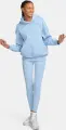 Худи женское Nike SPORTSWEAR PHOENIX FLEECE OVERSIZED голубое DQ5860-441