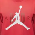Футболка Nike JORDAN AIR STRETCH красная DV1445-604