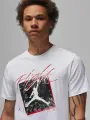 Футболка Nike JORDAN GRAPHIC біла DX9593-100