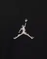 Футболка Nike JORDAN SPORT DRI-FIT черная HQ8970-010