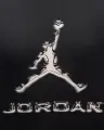 Футболка Nike JORDAN SPORT DRI-FIT черная HQ9091-010