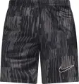 Шорти Nike ACADEMY+ DRI-FIT темно-сіро-чорні HJ3769-010