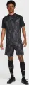 Шорти Nike ACADEMY+ DRI-FIT темно-сіро-чорні HJ3769-010