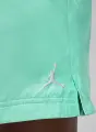 Шорти Nike JORDAN ESSENTIALS POOLSIDE LBR 5" бірюзові FQ4562-349