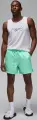 Шорти Nike JORDAN ESSENTIALS POOLSIDE LBR 5" бірюзові FQ4562-349