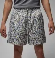 Шорты Nike JORDAN ESSENTIALS POOLSIDE разноцветные FN4635-133