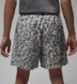 Шорты Nike JORDAN ESSENTIALS POOLSIDE разноцветные FN4635-133