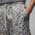 Шорты Nike JORDAN ESSENTIALS POOLSIDE разноцветные FN4635-133