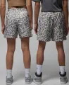 Шорты Nike JORDAN ESSENTIALS POOLSIDE разноцветные FN4635-133