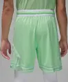 Шорти баскетбольні Nike JORDAN DRI-FIT MESH DIAMOND SHORTS салатові HF9910-376