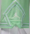 Шорти баскетбольні Nike JORDAN DRI-FIT MESH DIAMOND SHORTS салатові HF9910-376