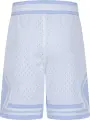 Шорты подростковые Nike JORDAN SPORT DRI-FIT DIAMOND голубо-белые 95D313-J3H