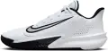 Кросівки баскетбольні Nike PRECISION 7 біло-чорні FN4322-101