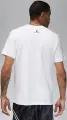 Футболка Nike JORDAN SPORT DRI-FIT біло-чорна FN5974-100