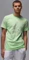 Футболка Nike JORDAN SPORT DRI-FIT светло-зеленая HQ7984-376