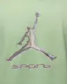 Футболка Nike JORDAN SPORT DRI-FIT светло-зеленая HQ7984-376