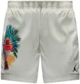 Шорты Nike JORDAN ESSENTIALS бежевые IB7276-020