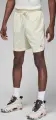 Шорти баскетбольні Nike JORDAN SPORT MEN'S DRI-FIT MESH SHORTS кремові FN5816-113