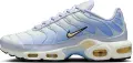 Кросівки жіночі Nike AIR MAX PLUS блакитно-жовті DZ3670-004