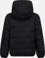 Куртка детская Nike JORDAN WELDED PUFFER черная 85D194-023