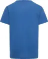 Футболка подростковая Nike JORDAN AIR 2 3D синяя 95C975-U1R