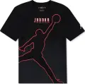 Футболка подростковая Nike JORDAN JUMPMAN GLOBAL черно-серая 95F169-023