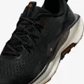 Кроссовки для трейлраннинга Nike REACTX PEGASUS TRAIL 5 черно-коричневые DV3864-006