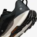 Кроссовки для трейлраннинга Nike REACTX PEGASUS TRAIL 5 черно-коричневые DV3864-006