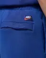 Шорти Nike AIR JORDAN RARE AIR AIR FRENCH TERRY сині IF1411-470