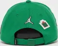 Кепка підліткова Nike JORDAN SIGNATURE CURVED BRIM зелена 9A9028-E1P