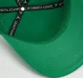 Кепка підліткова Nike JORDAN SIGNATURE CURVED BRIM зелена 9A9028-E1P