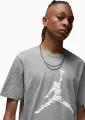 Футболка Nike JORDAN ESSENTIALS серая DX9581-091