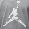 Футболка Nike JORDAN ESSENTIALS серая DX9581-091
